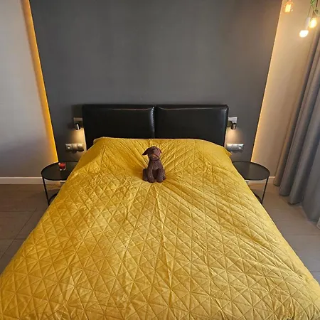 Ovo Od Dziedzinca Wrocław