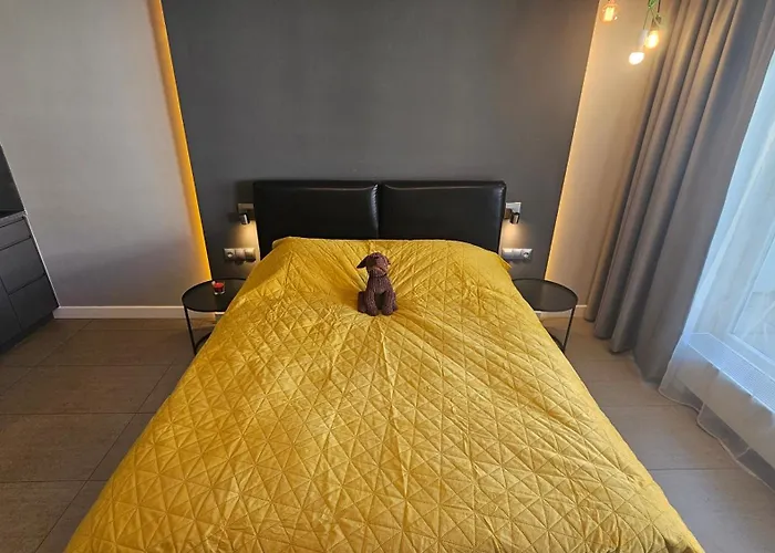 Ovo Od Dziedzinca Wrocław